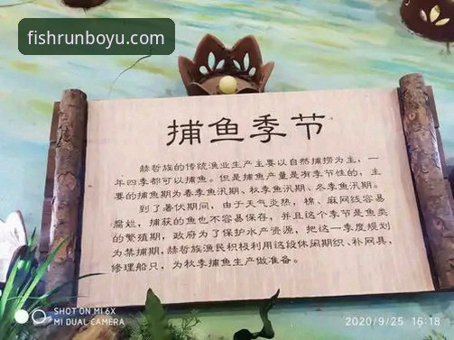 博鱼体育怎么下载常见问题 揭秘博鱼体育怎么下载常见问题:你不知道的下载真相与创新玩法