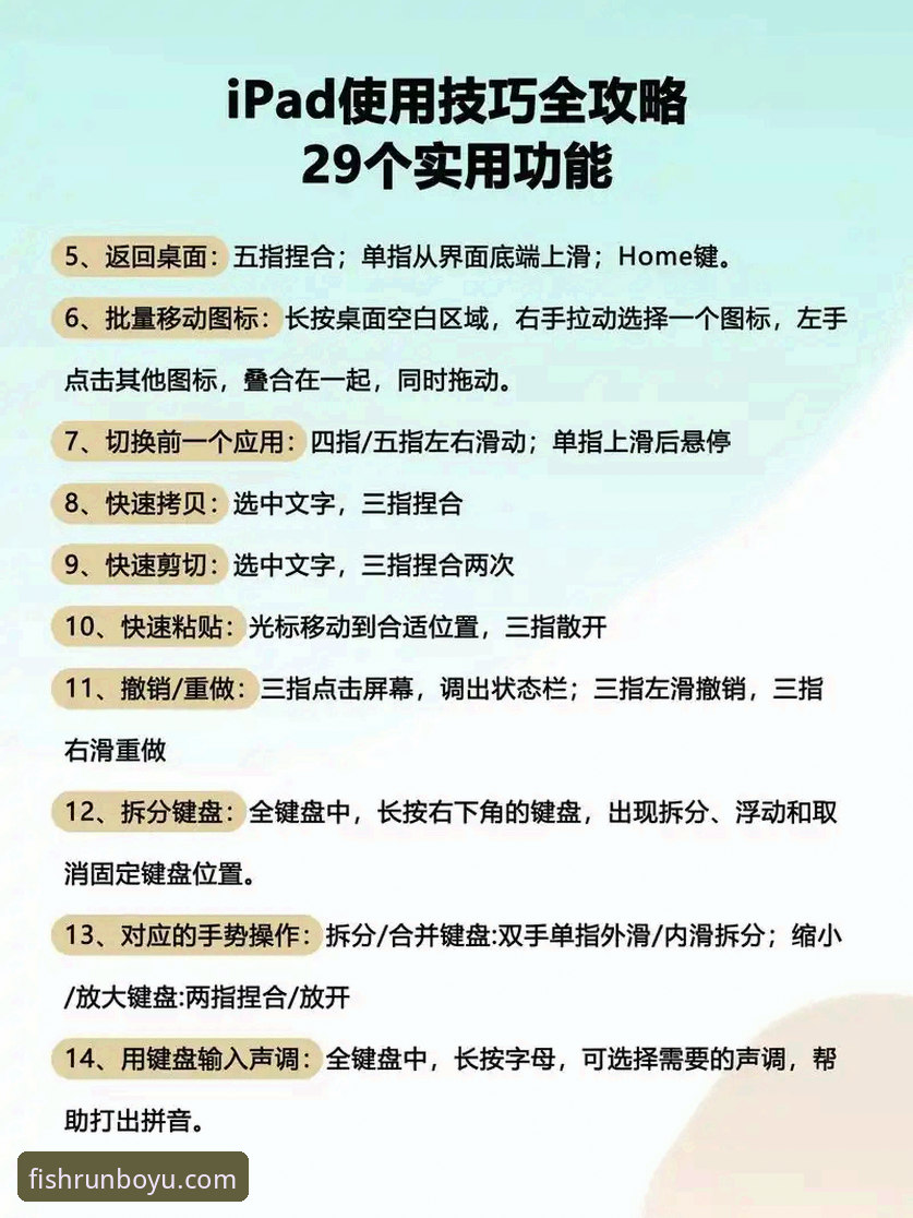 资深用户拆解博鱼体育福利的实战经验：从入门到精通的全流程操作指南